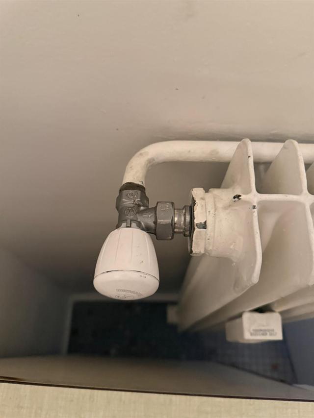 Tête thermostatique neuve posée sur un radiateur